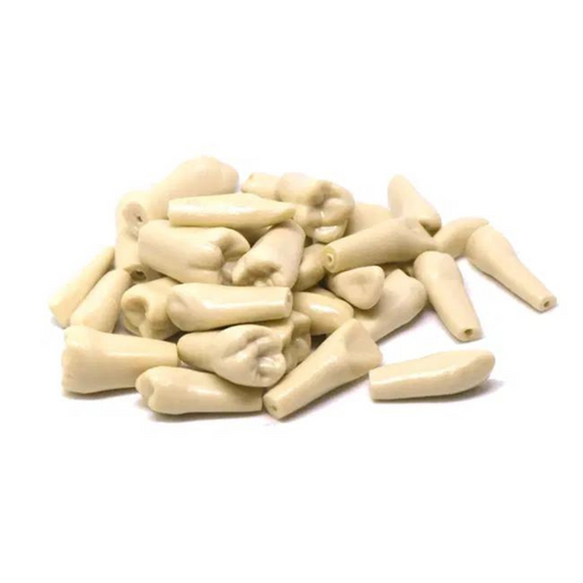 Repuesto DT TF-A8014-2 32 Dientes Tipodonto Adulto (Tipo Frasaco)