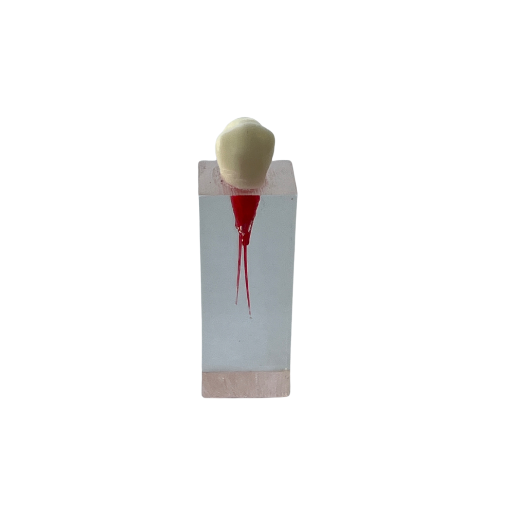 Cubos Acrílico C/Corona Endodoncia DT