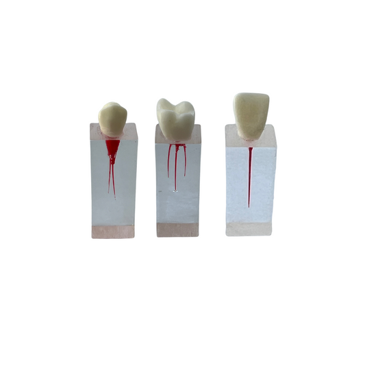 Cubos Acrílico C/Corona Endodoncia DT