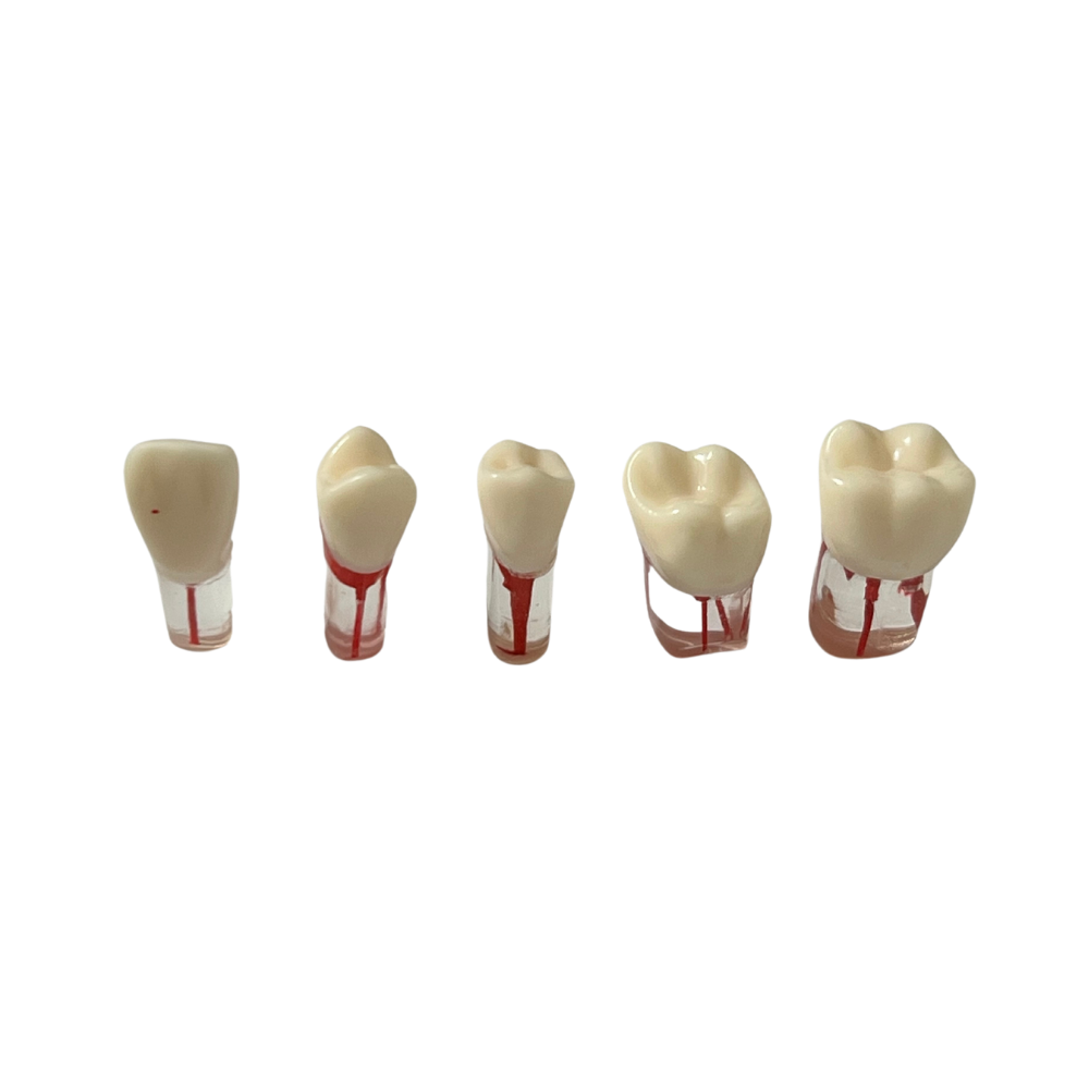 Dientes Endodoncia C/5 P/ TN-A8011 28 dientes DT (Tipo Nissin)