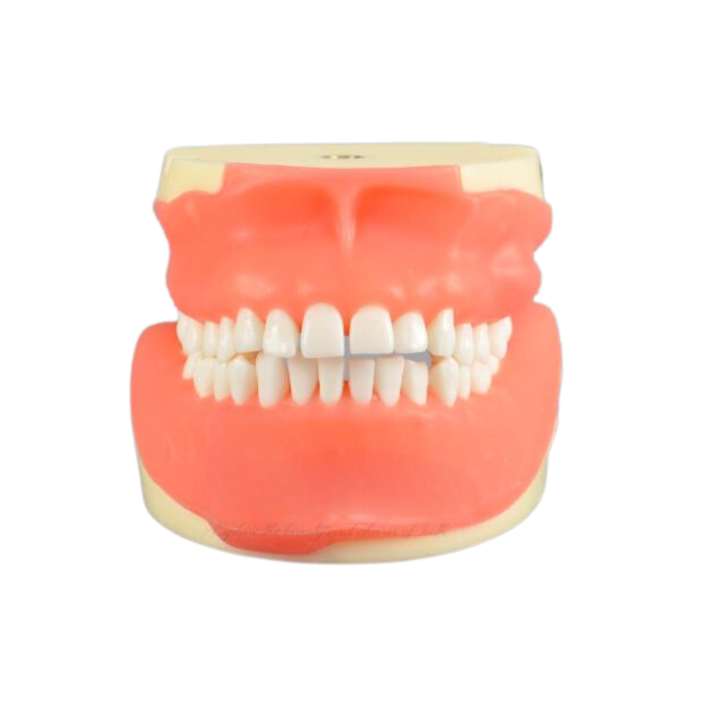 ProTrainer Tipodonto P/ Cirugia DT