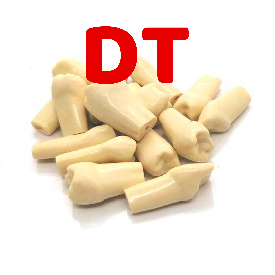 Dientes Repuesto Tipodonto DT TN-A8012 Adulto 32 Pzas (Estilo Nissin)