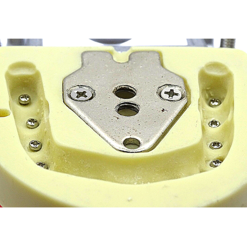 Tipodonto Adulto 32 Dientes TN-A8012 Tipo Nissin DT