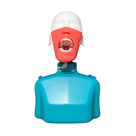 Simulador Profesional DT